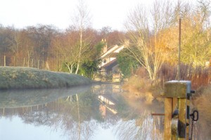 img029 img029
